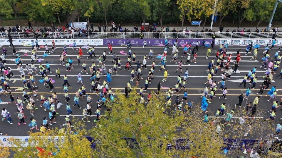 场地, 奔跑, zQnvs 场地, 奔跑, zQnvs