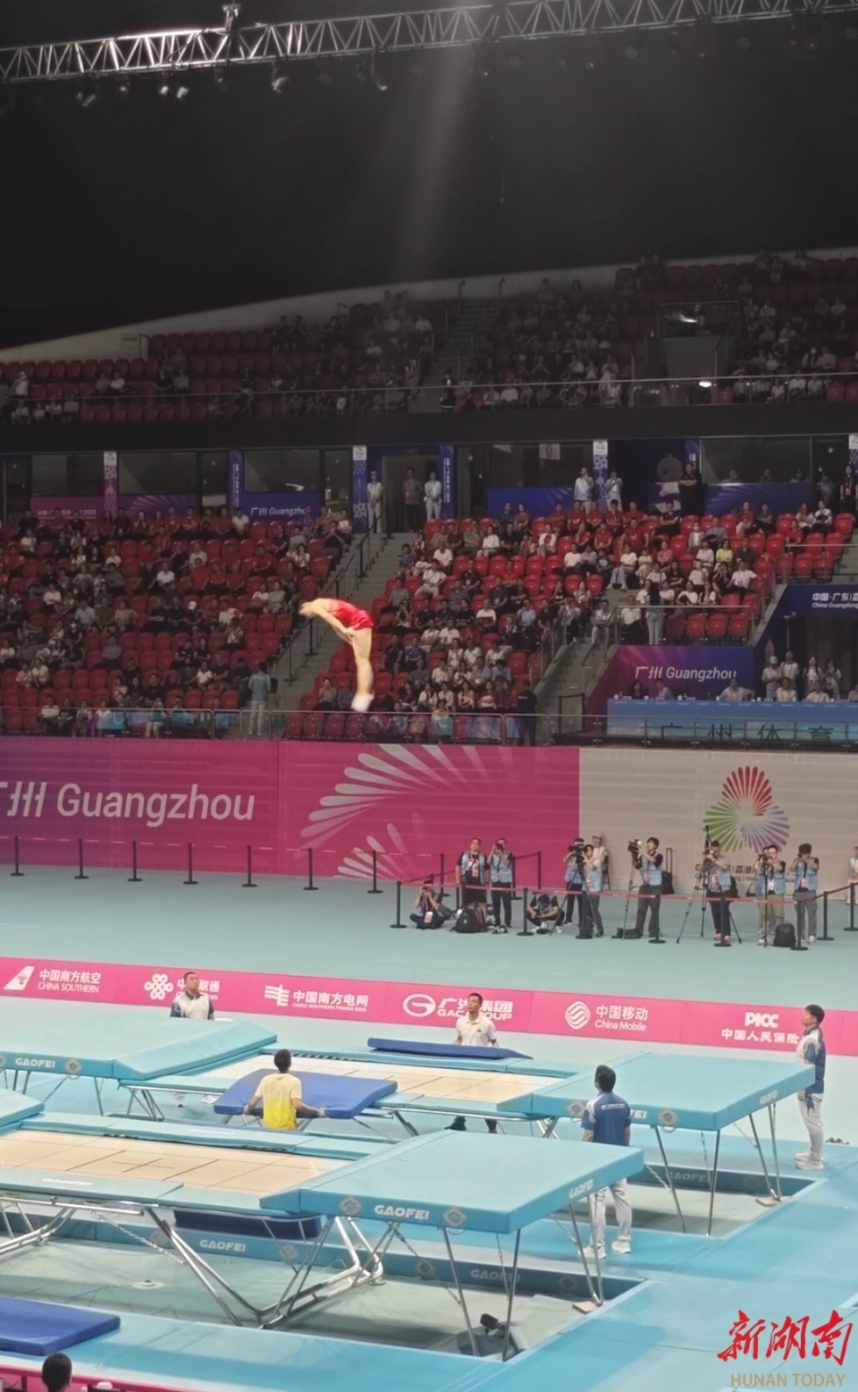 蹦床项目网, 但由于具备, 本届十五运 蹦床项目网, 但由于具备, 本届十五运